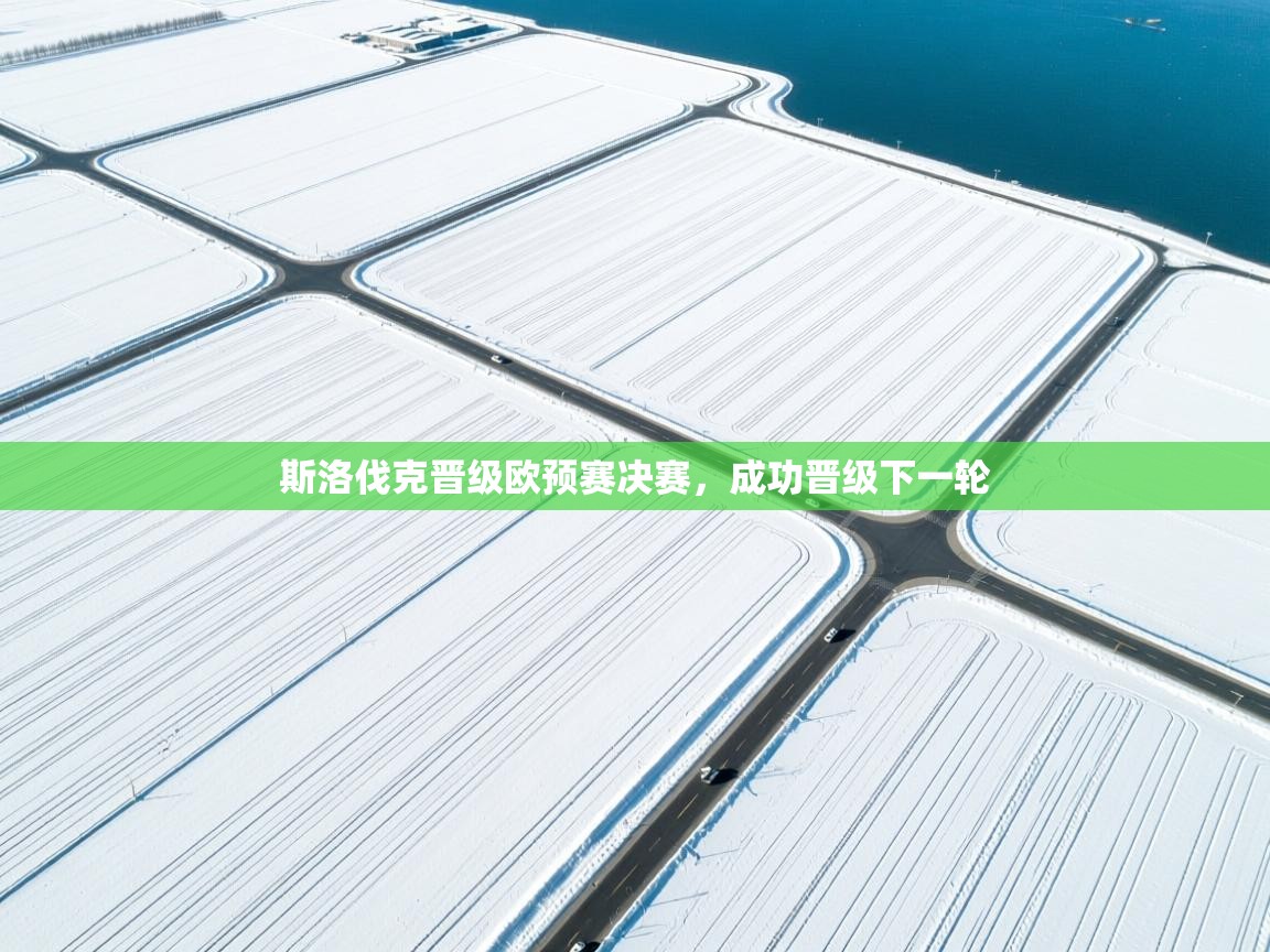 爱游戏体育娱乐-斯洛伐克晋级欧预赛决赛，成功晋级下一轮