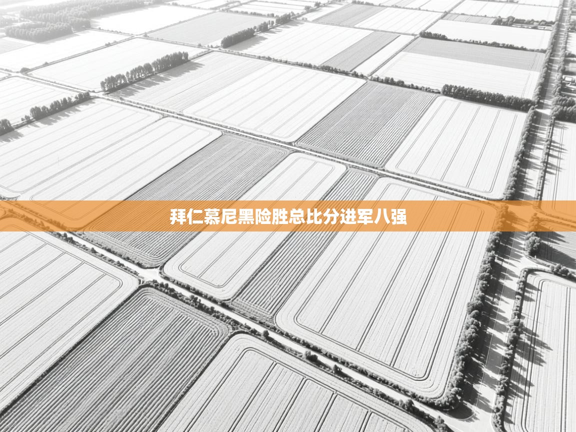 爱游戏体育娱乐马竞赞助商-拜仁慕尼黑险胜总比分进军八强 第3张