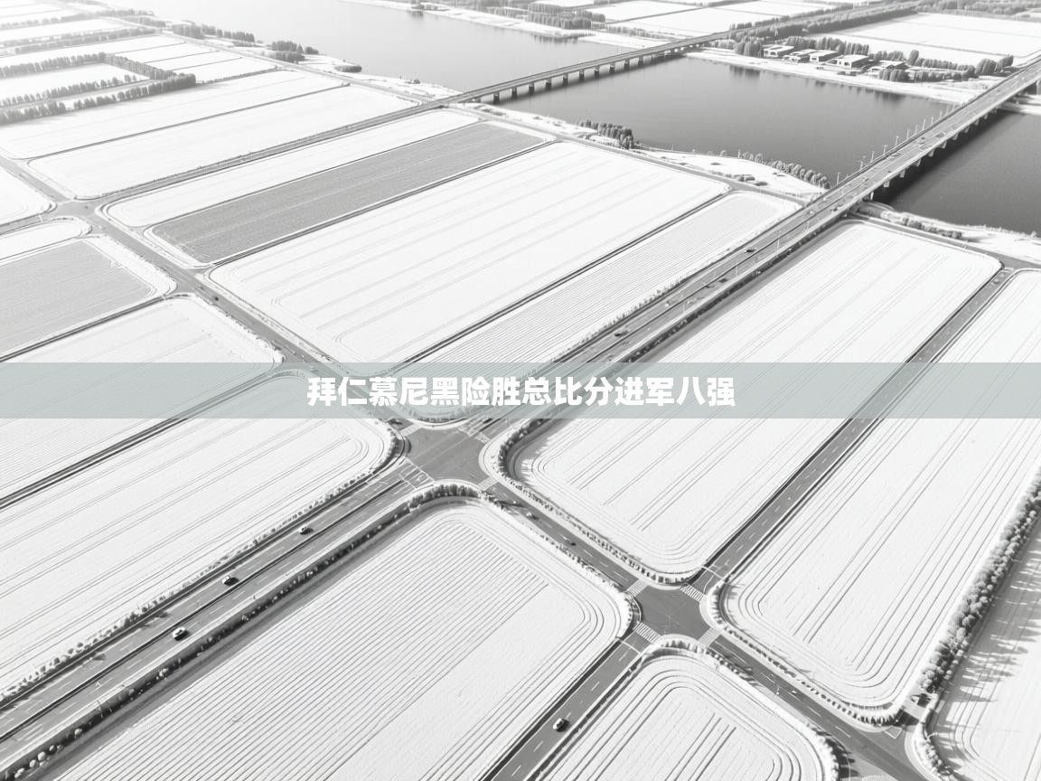 爱游戏体育娱乐马竞赞助商-拜仁慕尼黑险胜总比分进军八强 第4张